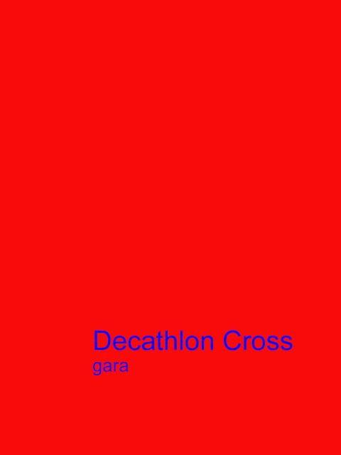 DecaCross 9-3-2014 034-.jpg