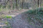 trail di Caprie 29-03-2015 017-.jpg