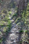 trail di Caprie 29-03-2015 272-.jpg