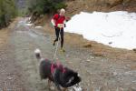 trail di Valdellatorre 19-4-2015 192-.jpg