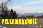 PellerinaCross 22-01-2017